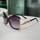 CARTIER Black Sunglasses with Gold Detailing (B)