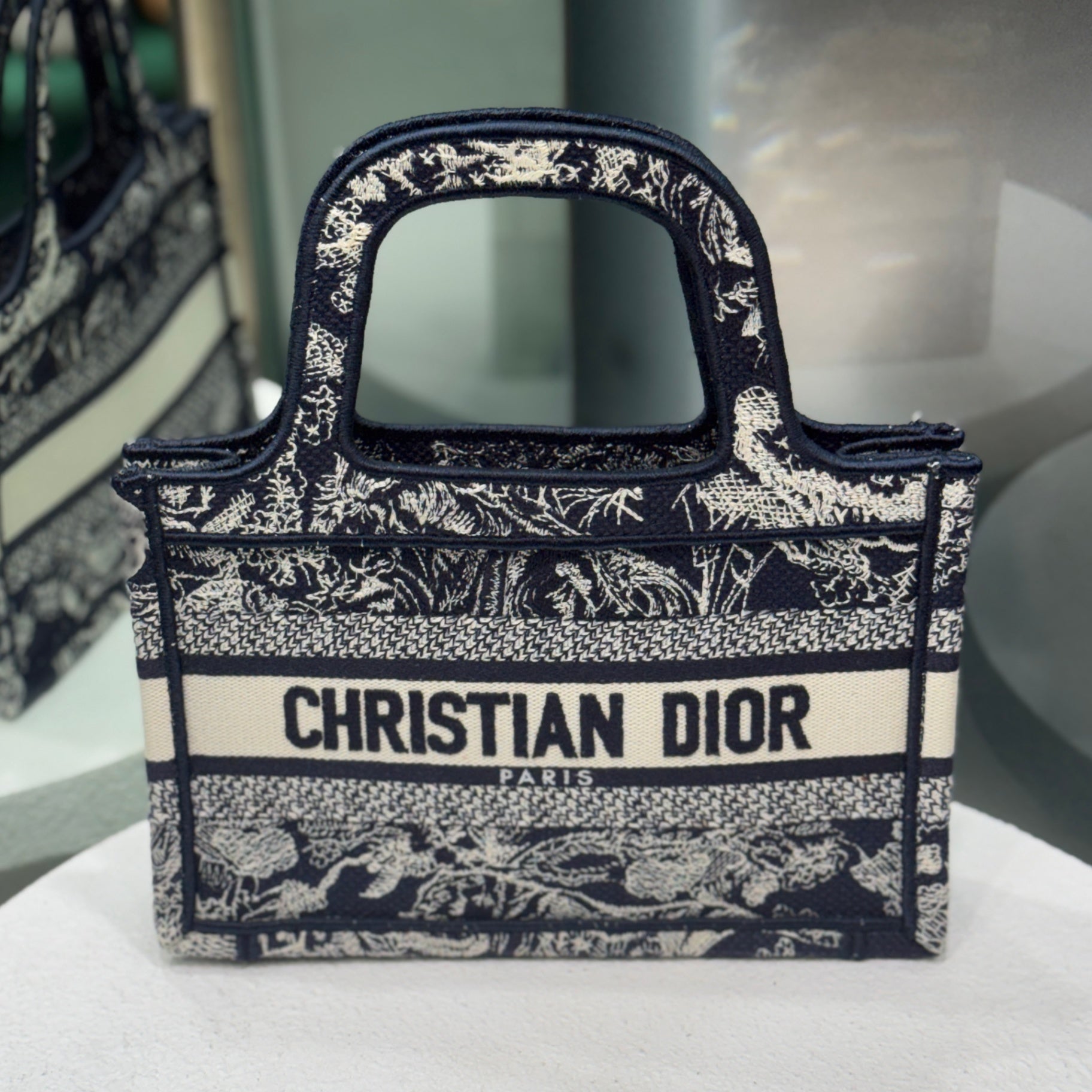 DIOR Blue Mini Book Tote