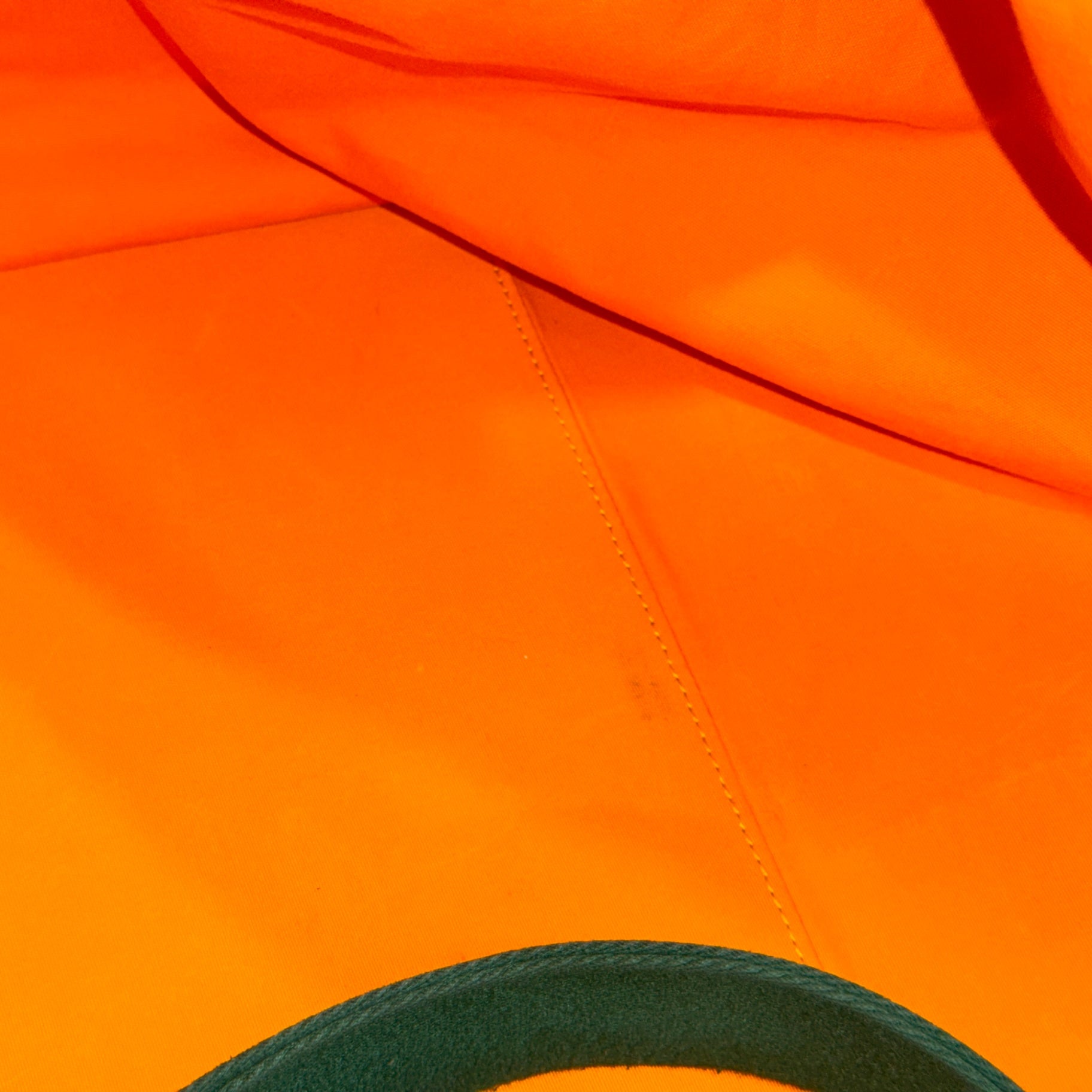 GOYARD Bowling 55 Green Duffle Bag