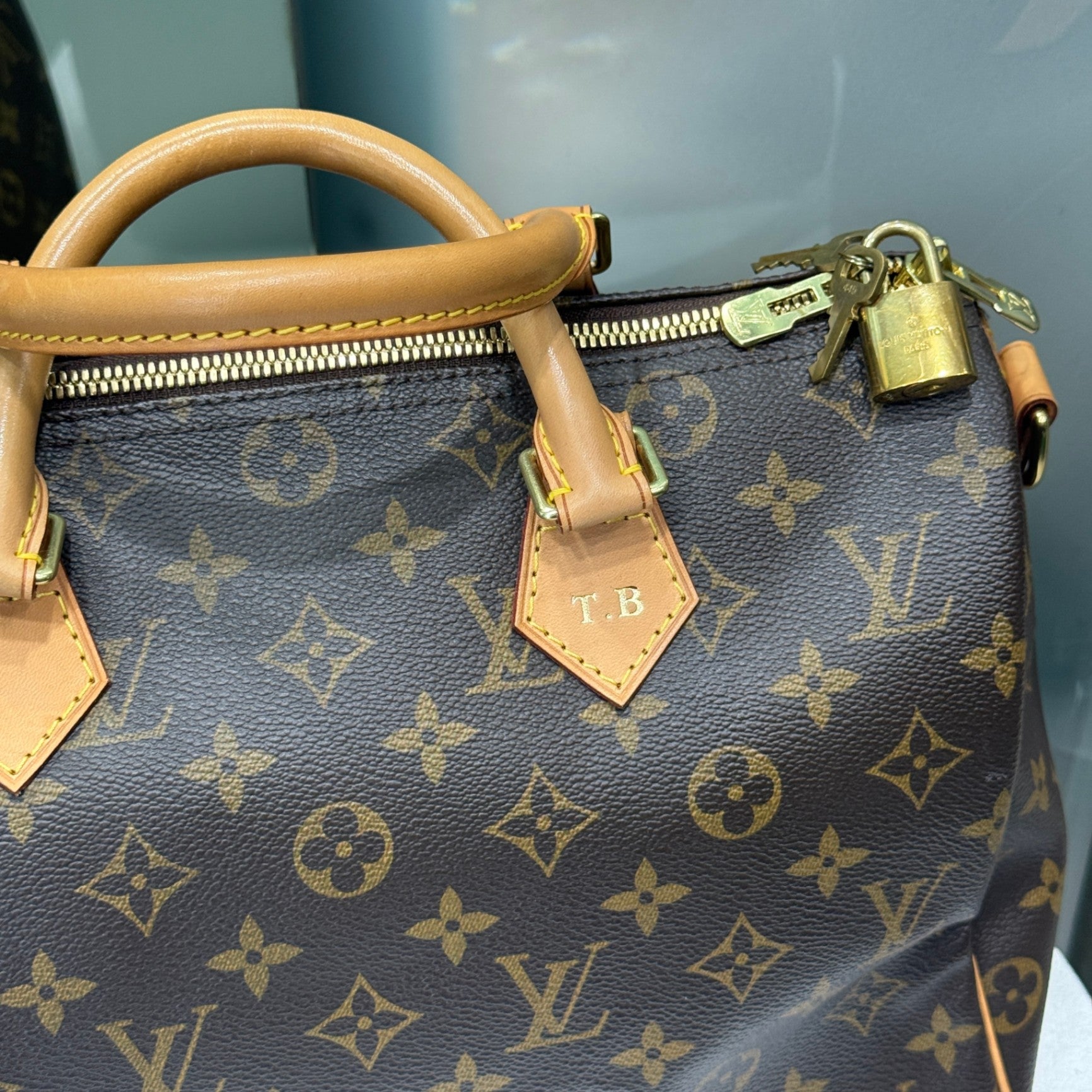 LOUIS VUITTON Monogram Speedy