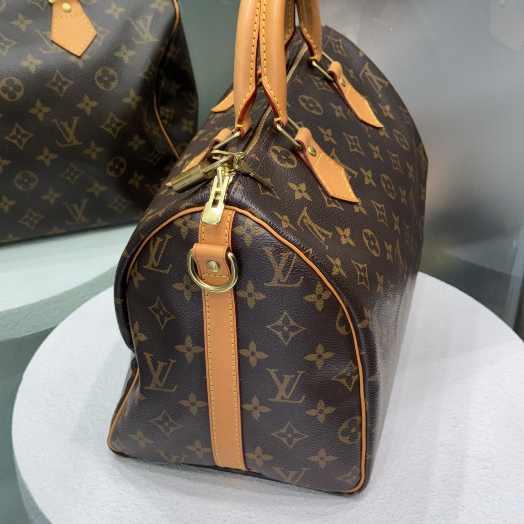 LOUIS VUITTON Monogram Speedy