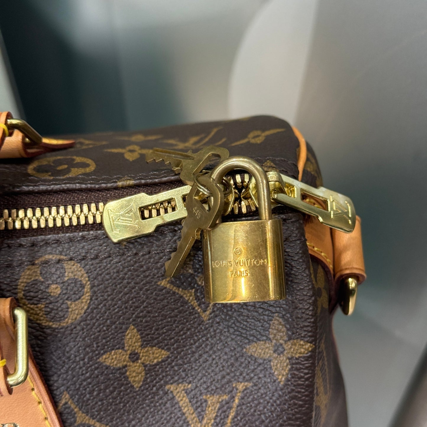 LOUIS VUITTON Monogram Speedy