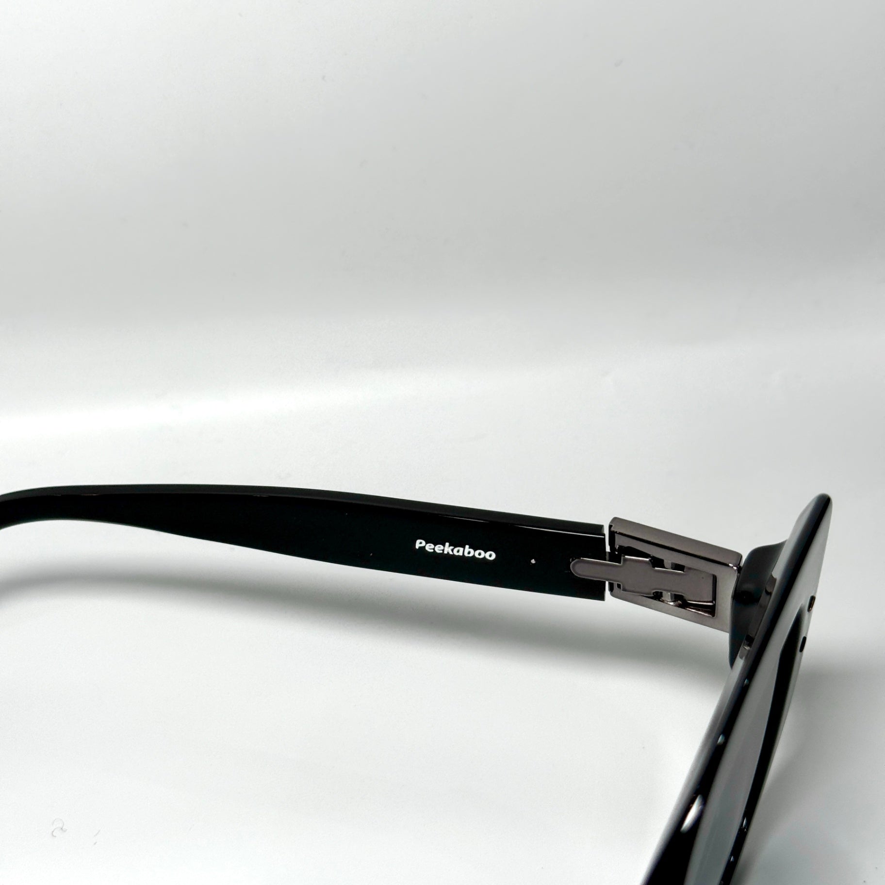 FENDI Black Sunglasses (Case)