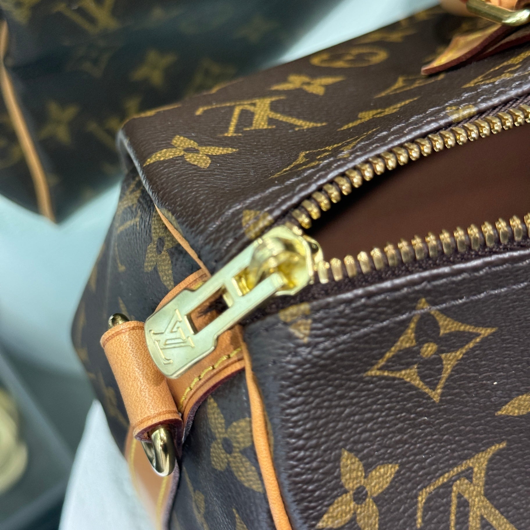 LOUIS VUITTON Monogram Speedy