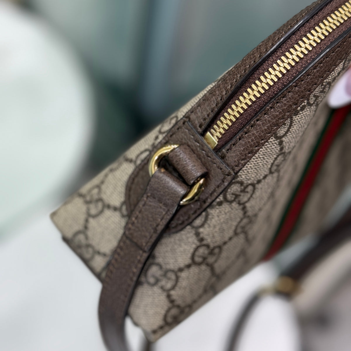 GUCCI Ophidia GG Supreme Coated Canvas - Small