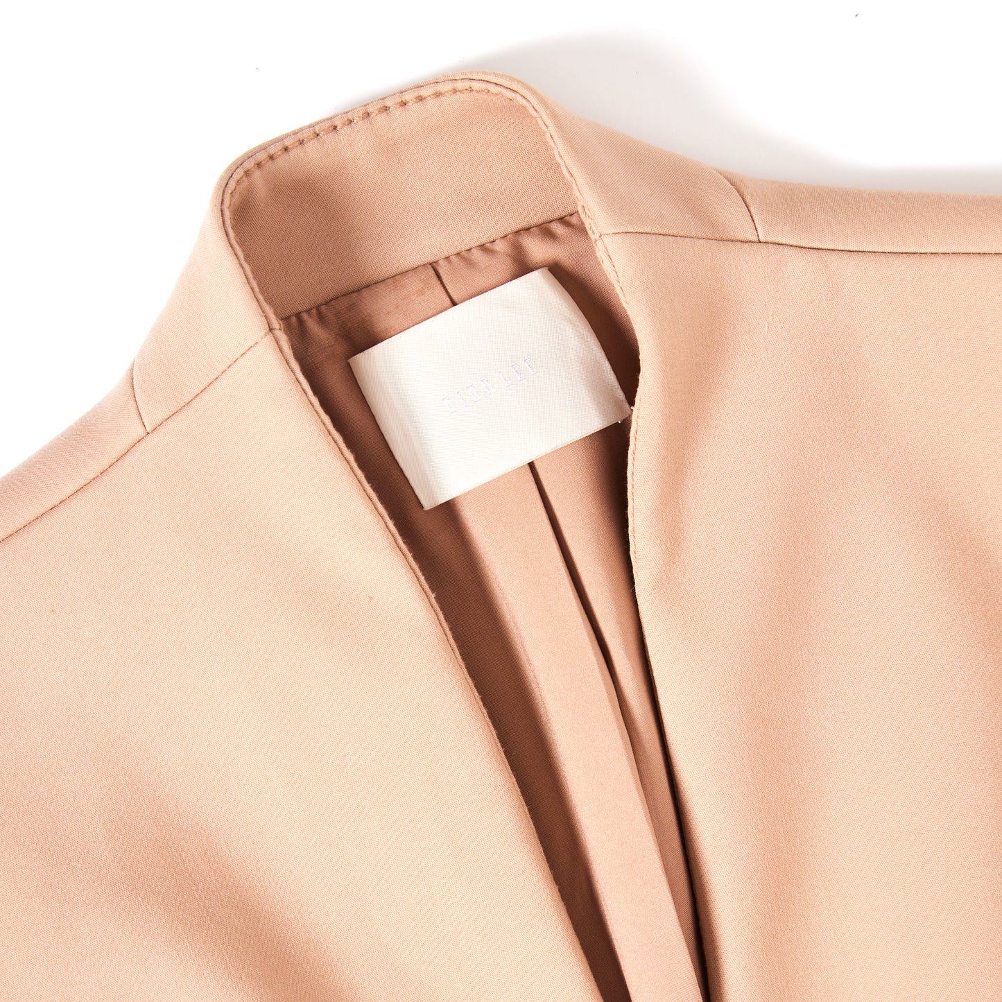 DION LEE